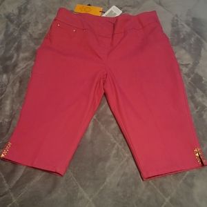 Pink Capri Pants - Size 16 Petite